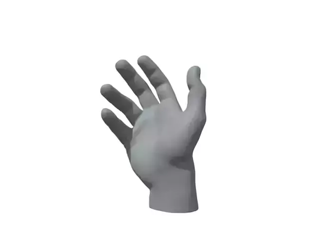 Hand male Man