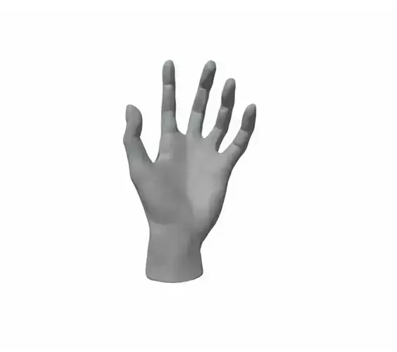 Hand female 
