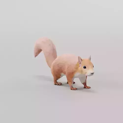 Squirrel Lowpoly