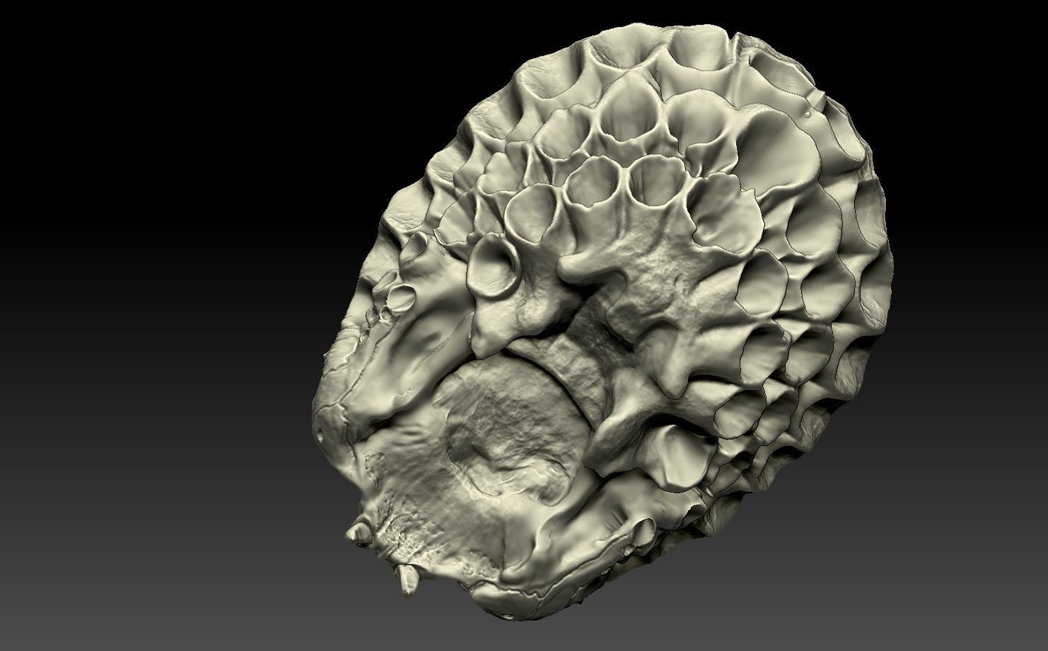 predator skull yautja prey 3D model 3D printable CGTrader