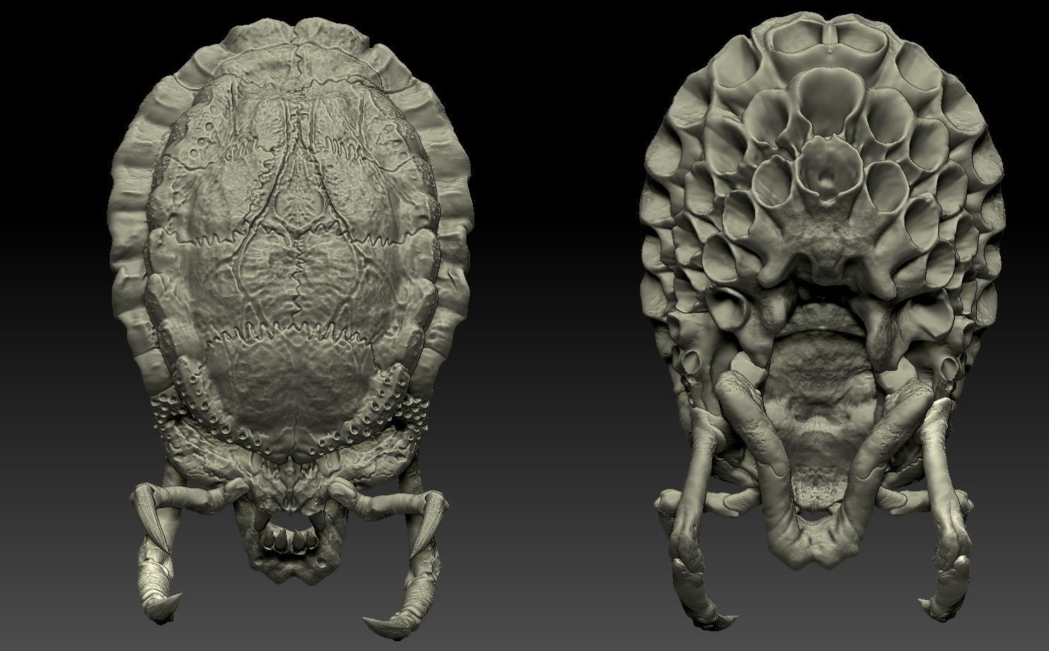 predator skull yautja prey 3D model 3D printable CGTrader