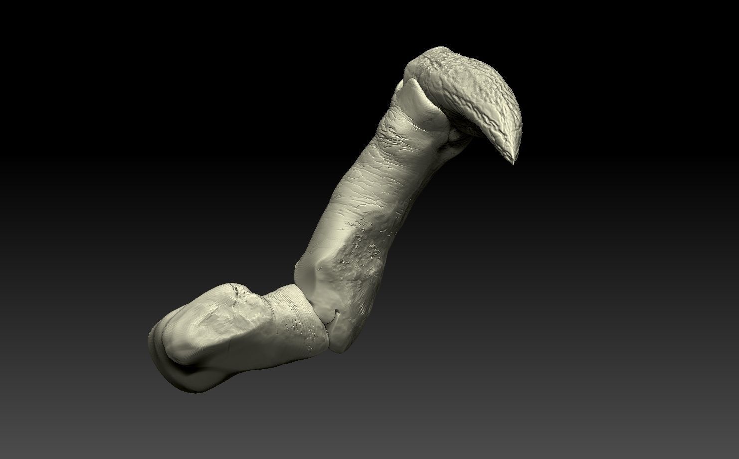 predator skull yautja prey 3D model 3D printable CGTrader