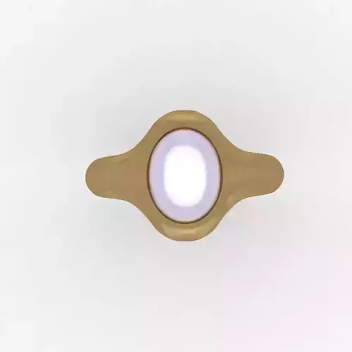 GENTS RING  3D print model