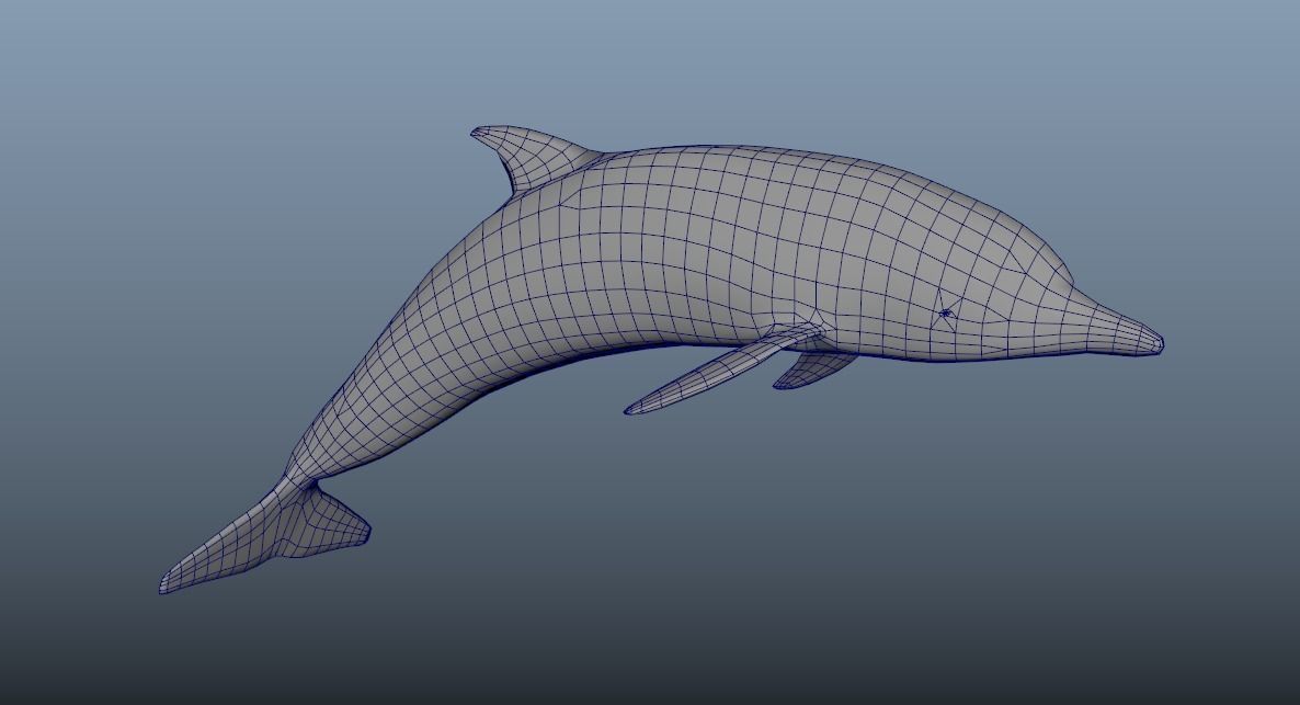 Bottlenose Dolphin- Animated  Low-poly 3D model_5