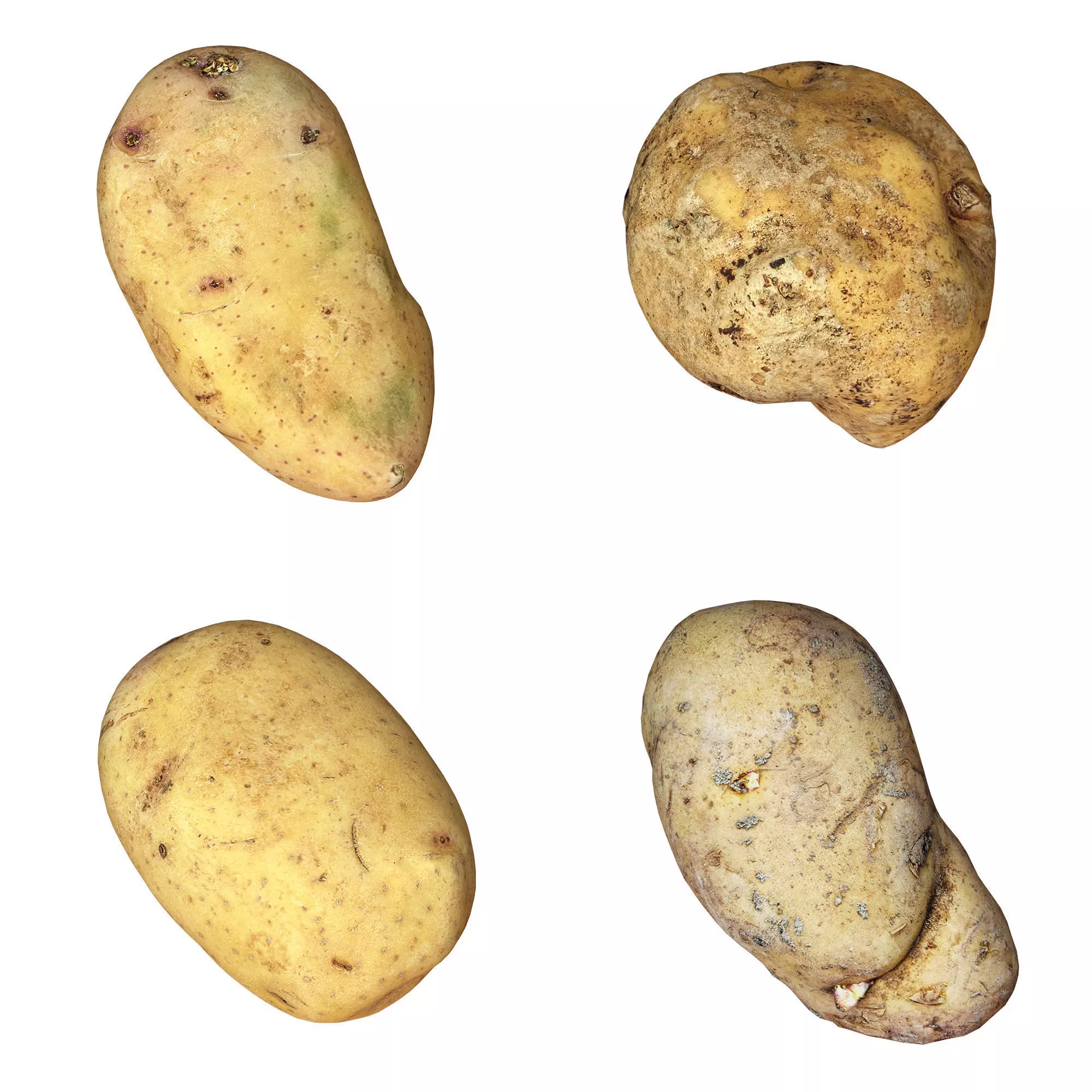 4 Realistic Potato Low-poly 3D model_0