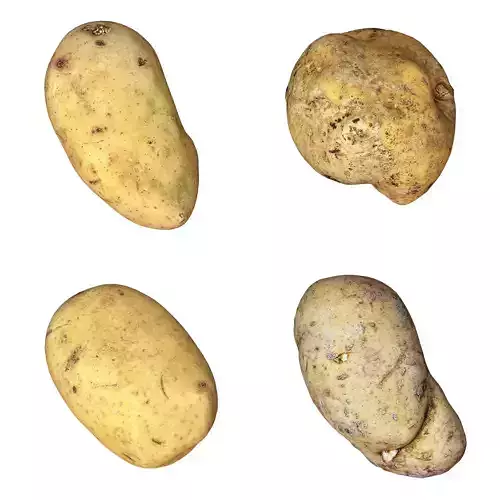4 Realistic Potato Low-poly 3D model