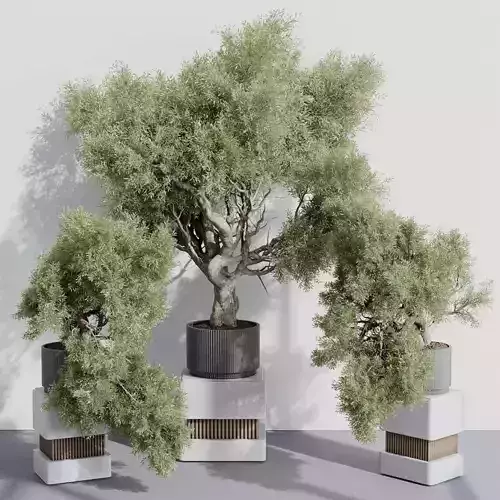 indoor plant set 389 tree bush concrete dirt vase