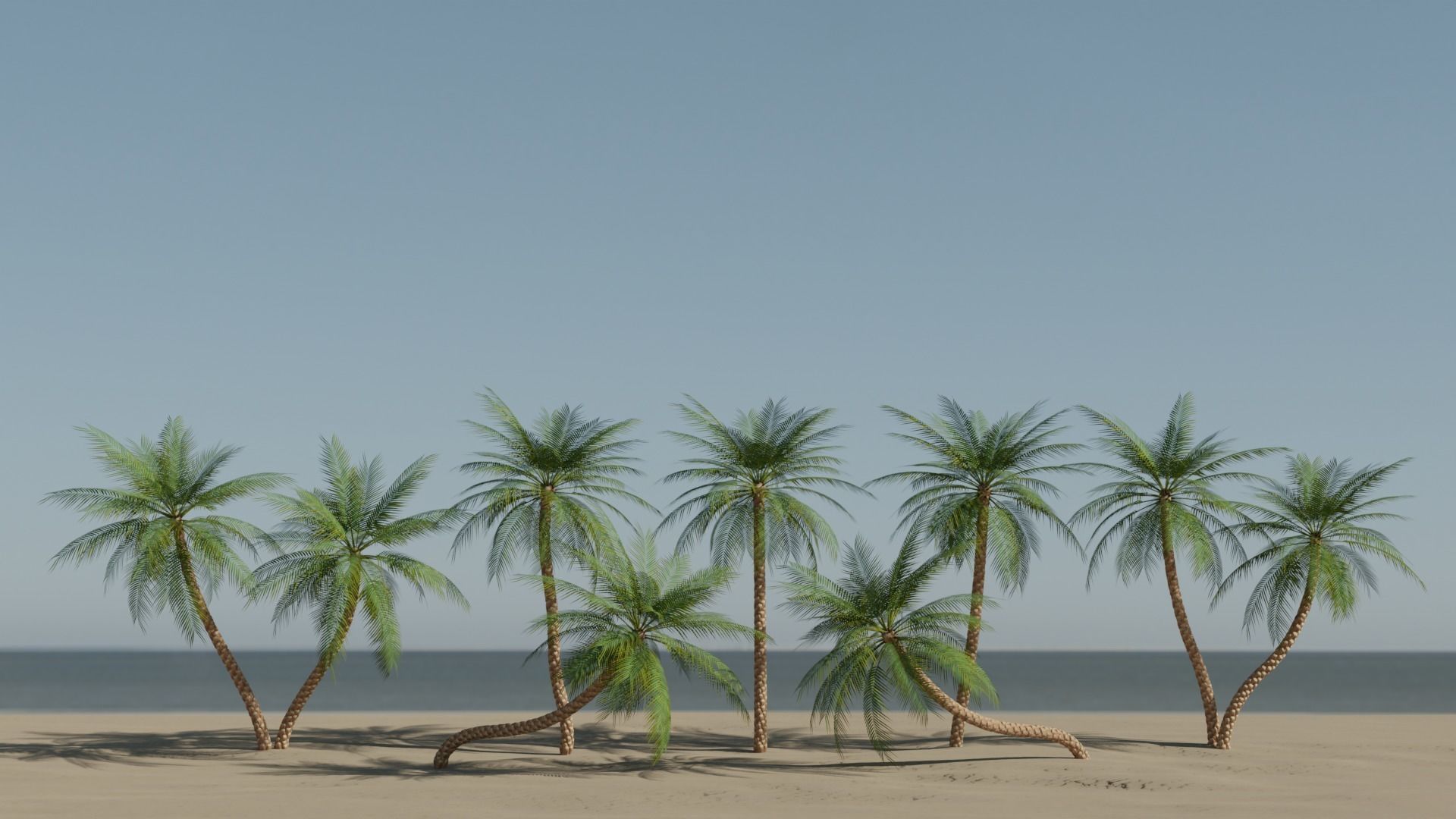 Date Palms Collection _1