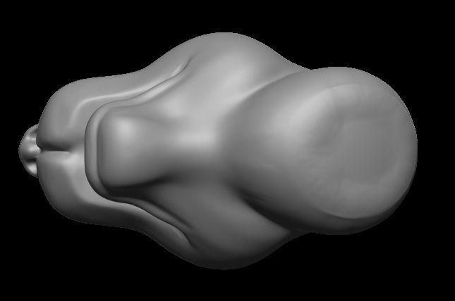 Dog model 3D print model_6