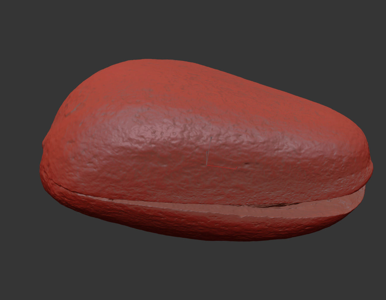 Pine Seed 3D model_7