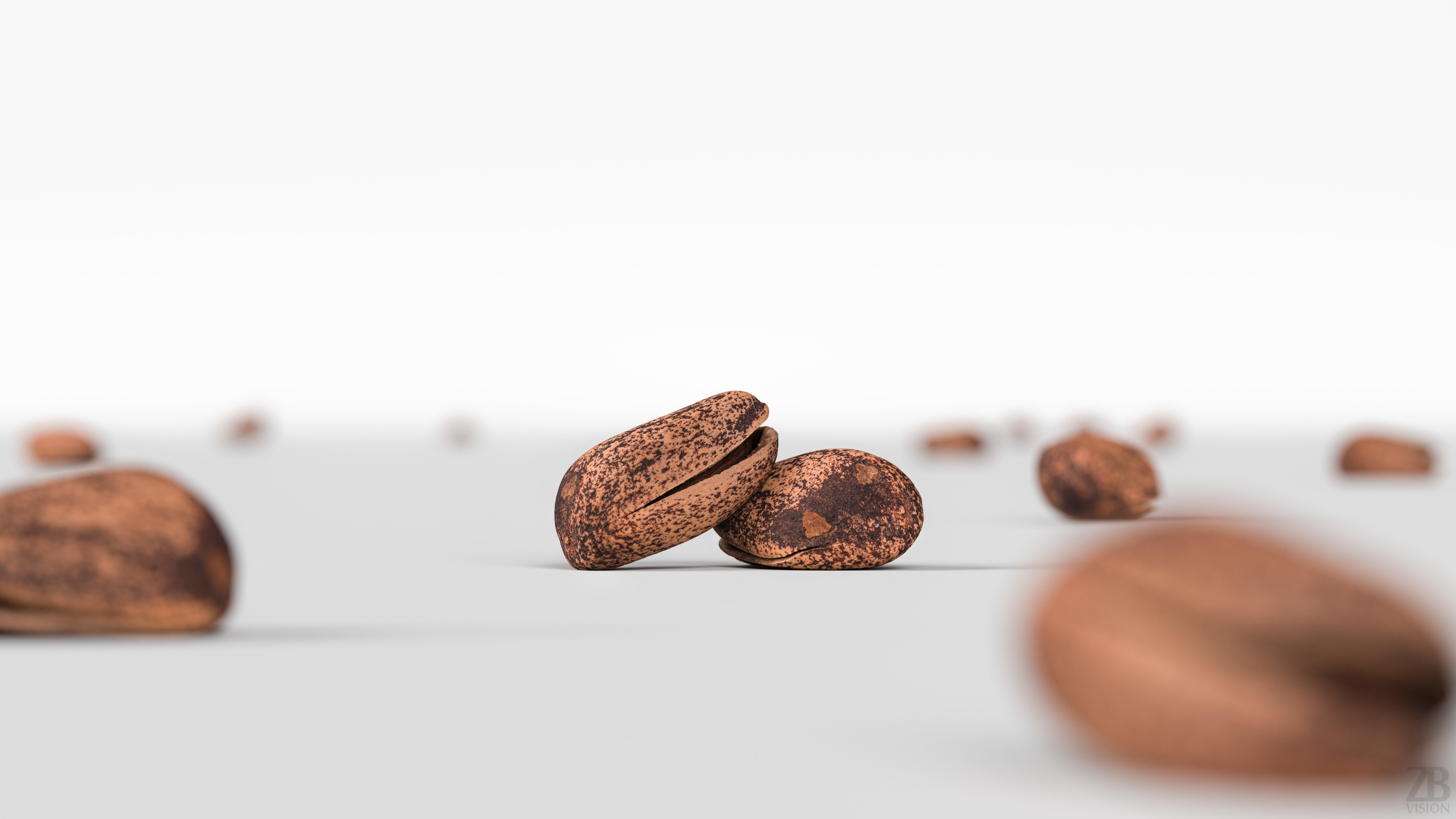 Pine Seed 3D model_1