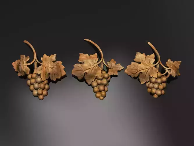 Bunch of grapes vine Decor elements