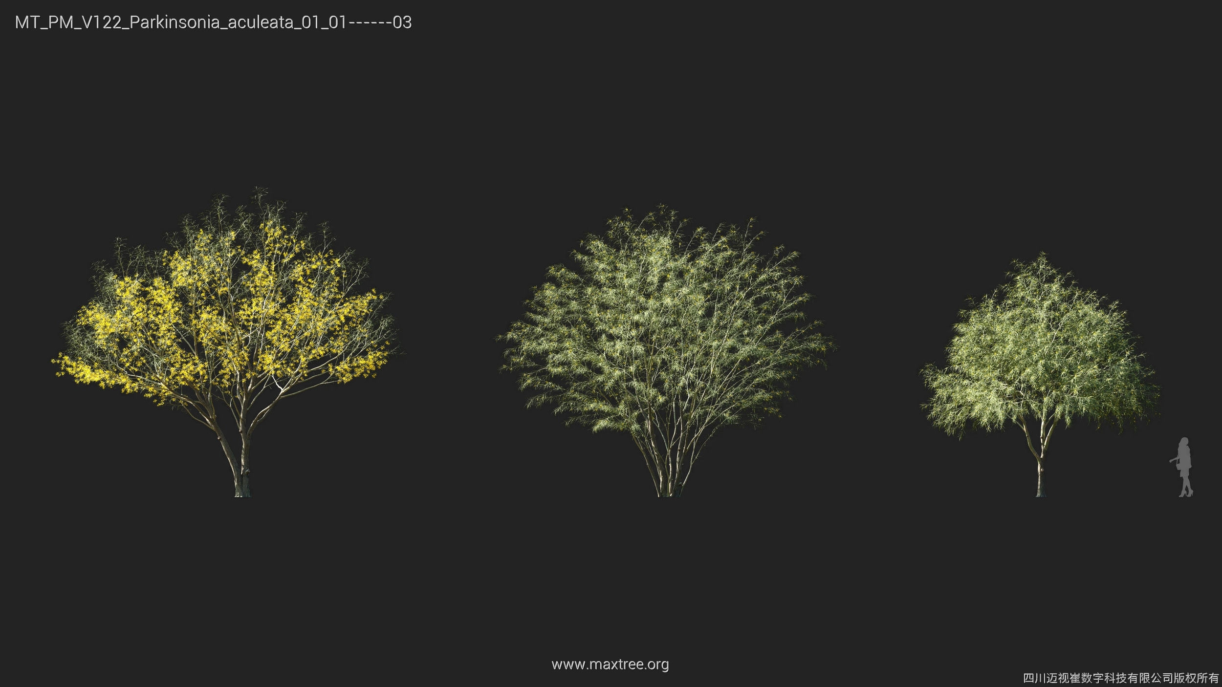 Maxtree Plant Models Vol 122 - Mesh 3D model_20