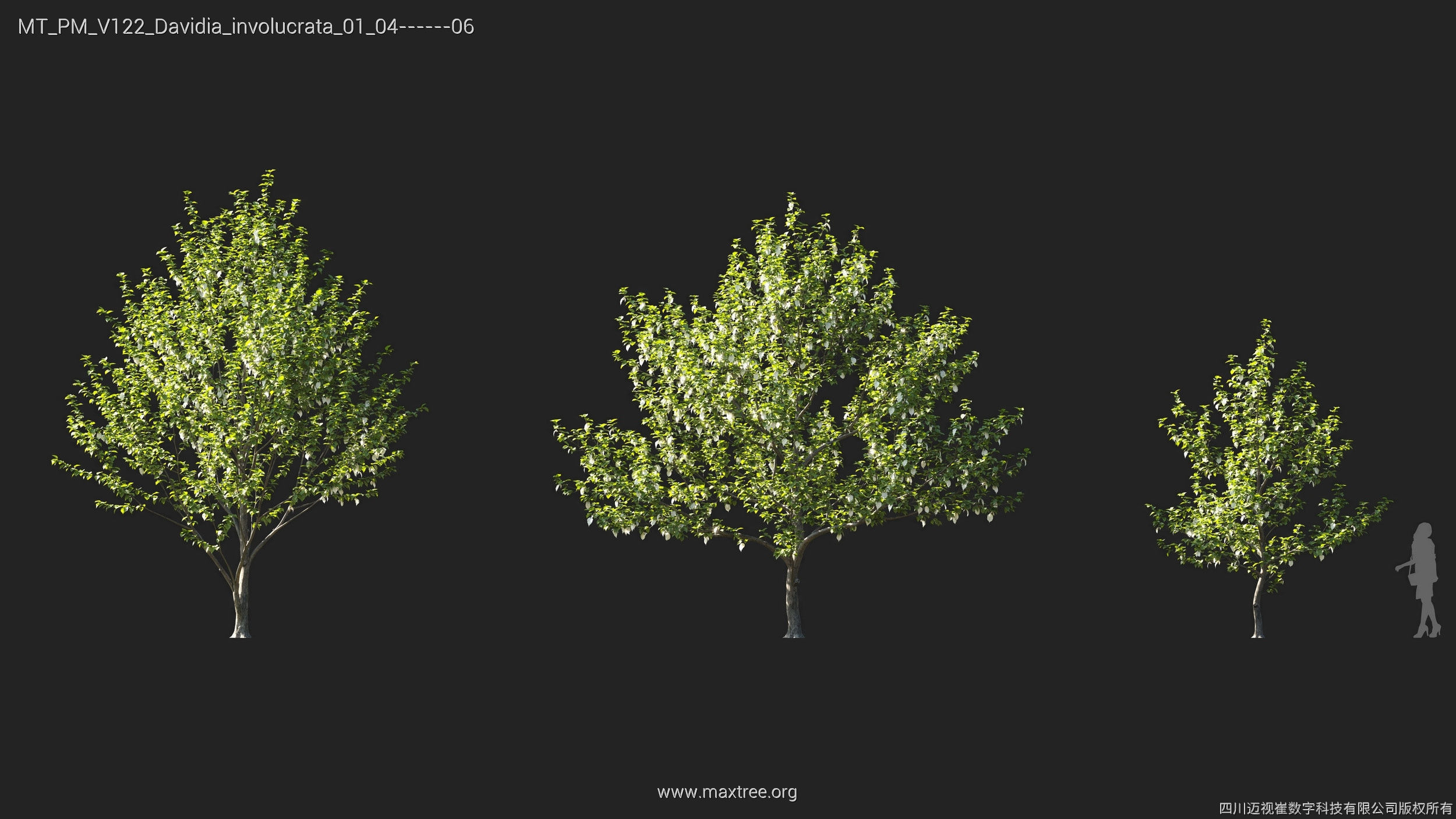 Maxtree Plant Models Vol 122 - Mesh 3D model_11