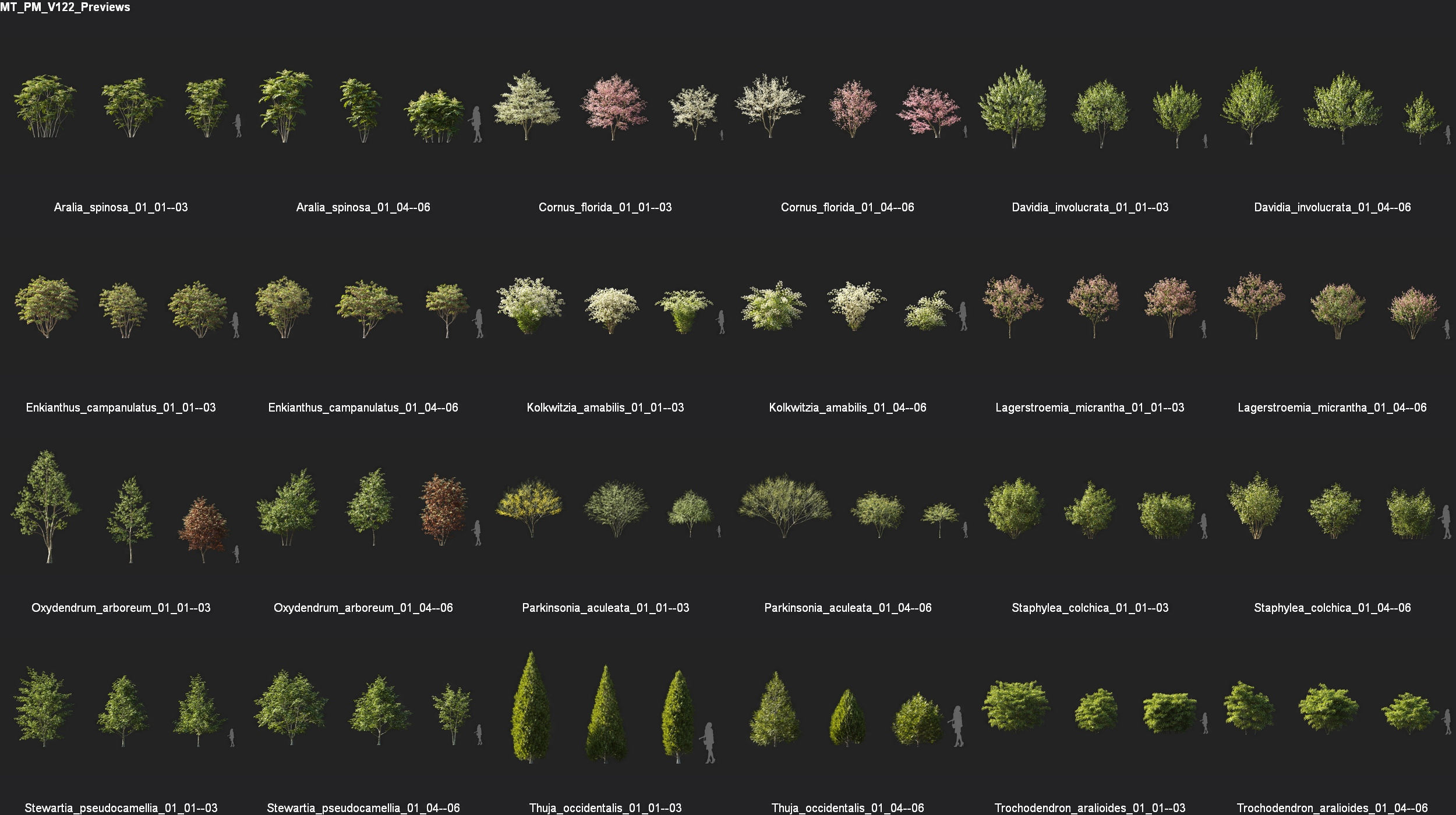 Maxtree Plant Models Vol 122 - Mesh 3D model_5