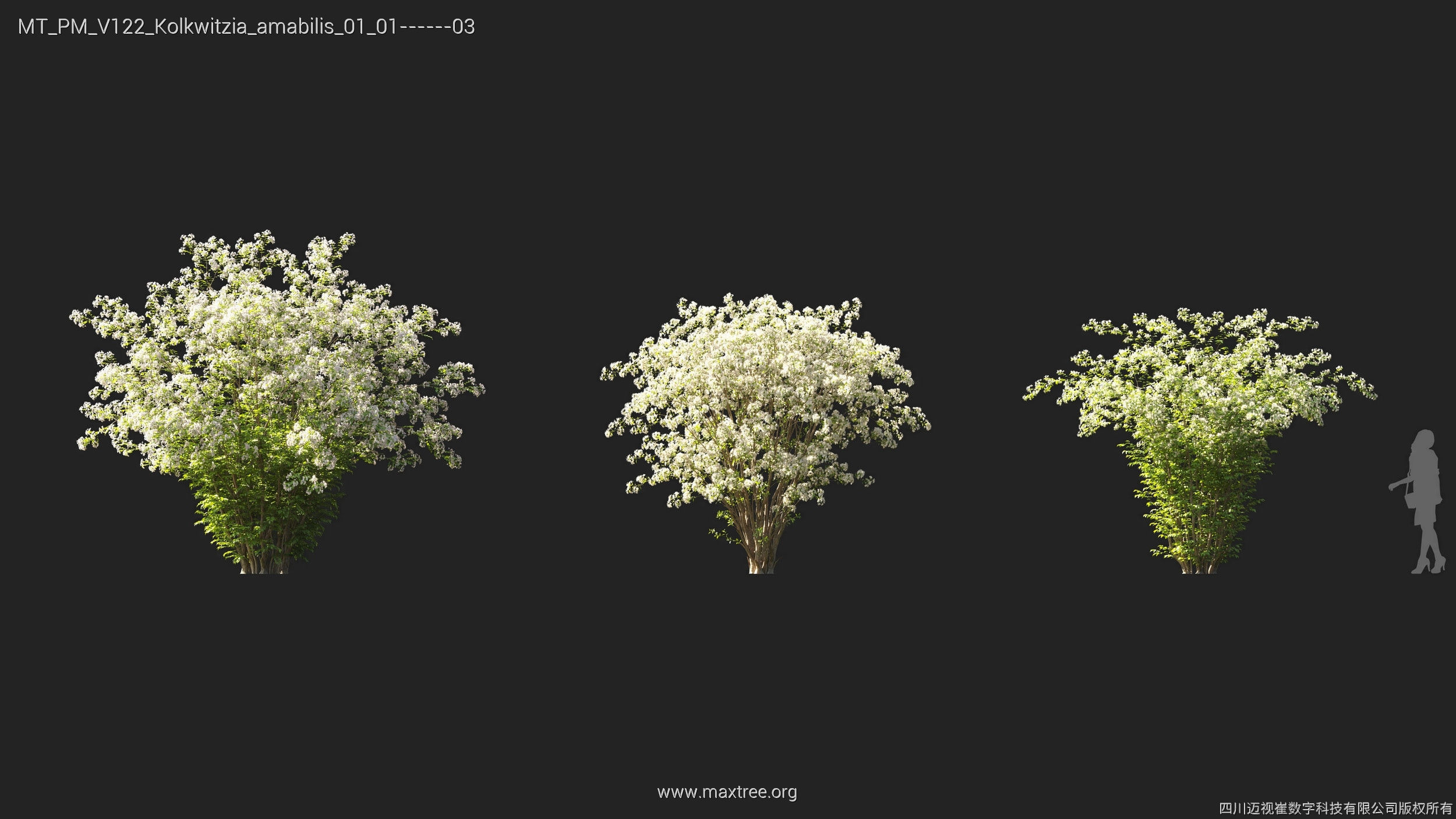 Maxtree Plant Models Vol 122 - Mesh 3D model_14