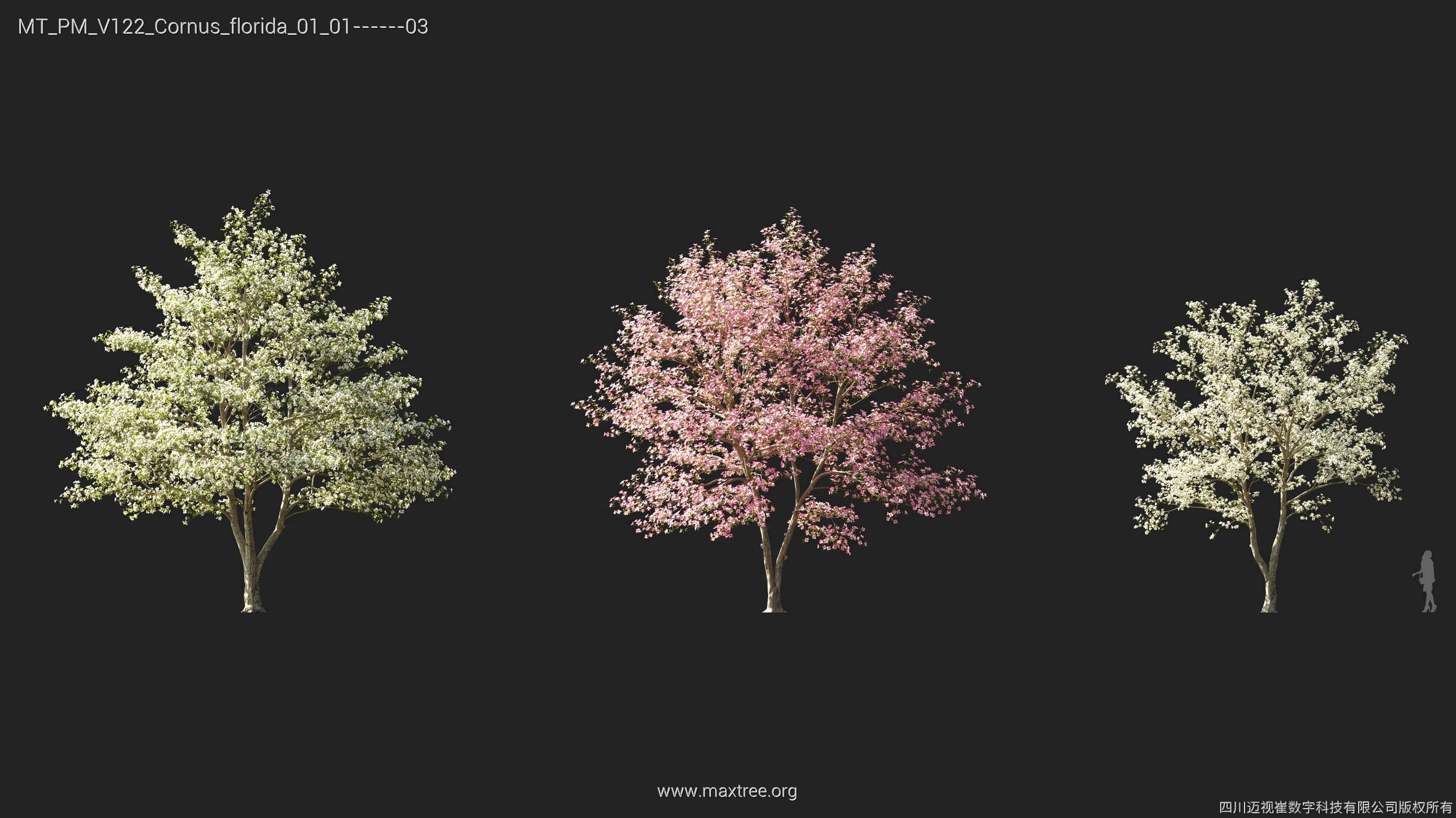 Maxtree Plant Models Vol 122 - Mesh 3D model_8