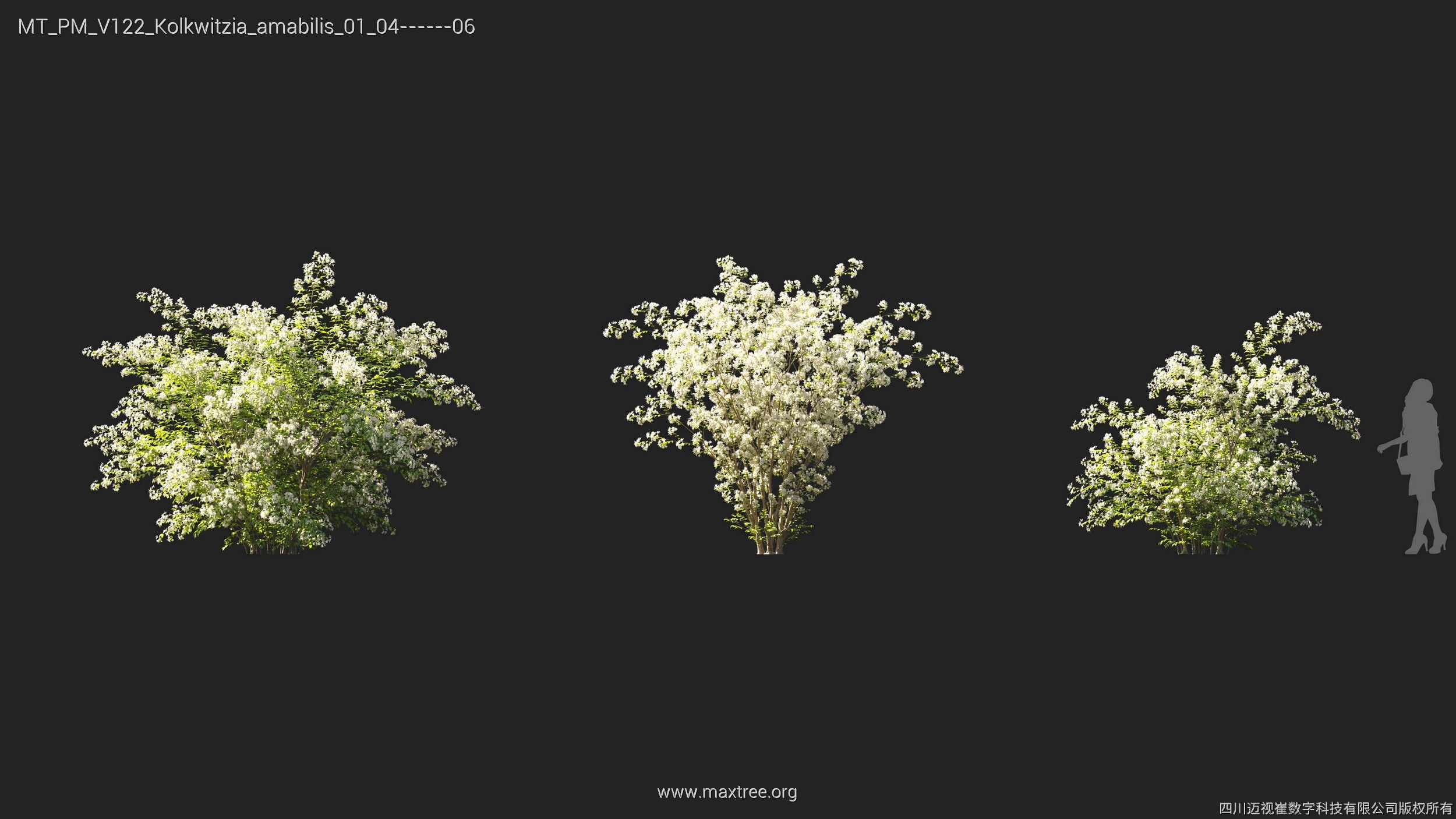 Maxtree Plant Models Vol 122 - Mesh 3D model_15