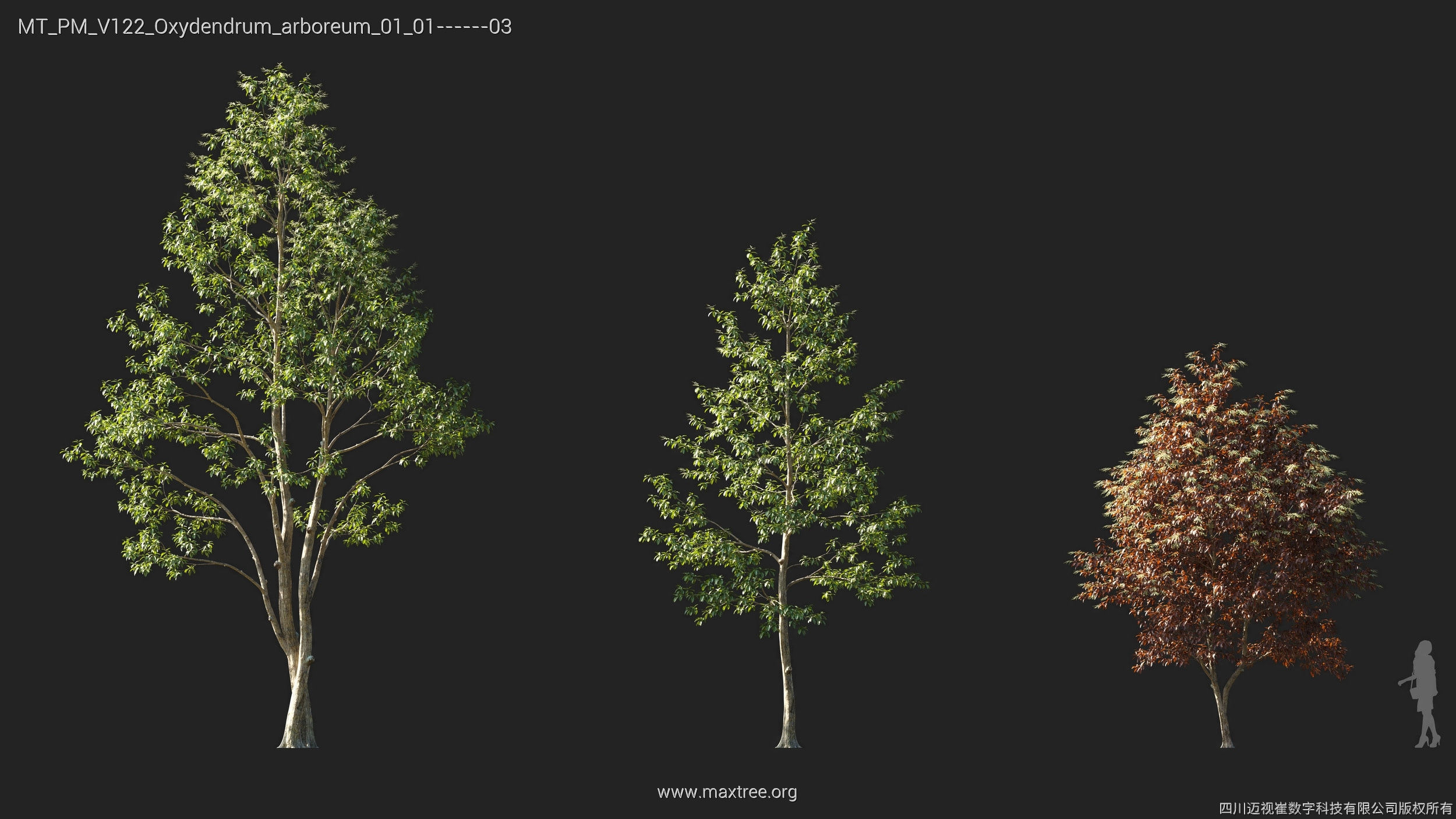 Maxtree Plant Models Vol 122 - Mesh 3D model_18