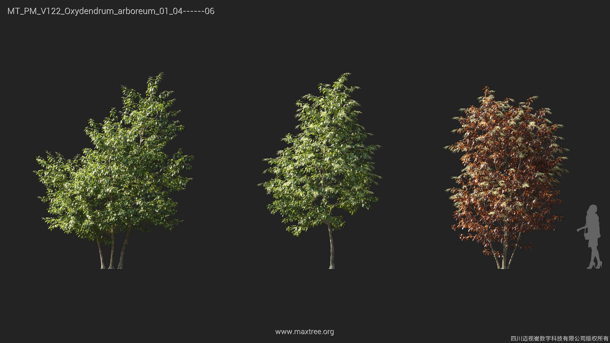 Maxtree Plant Models Vol 122 - Mesh 3D model_19