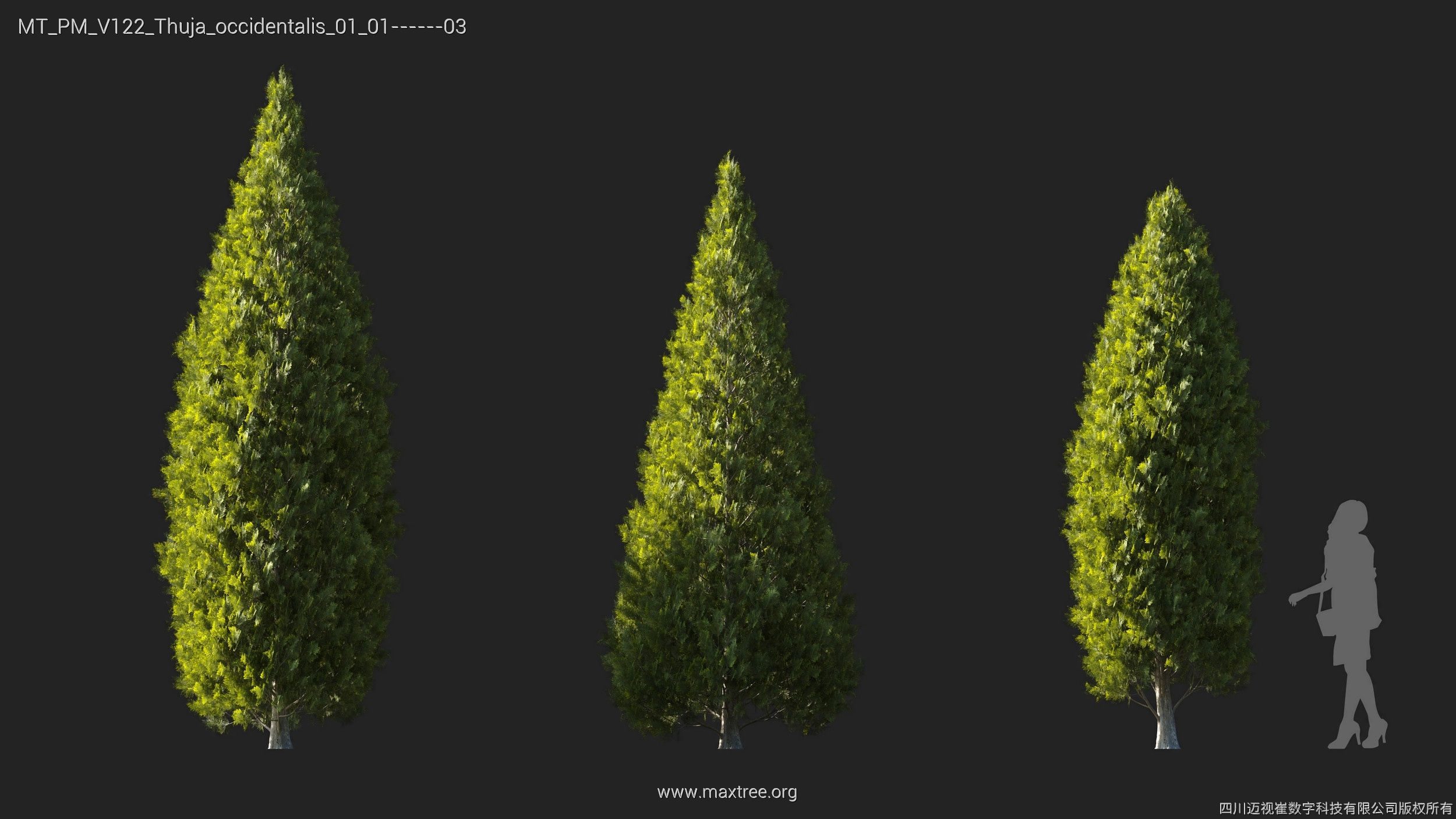 Maxtree Plant Models Vol 122 - Mesh 3D model_26