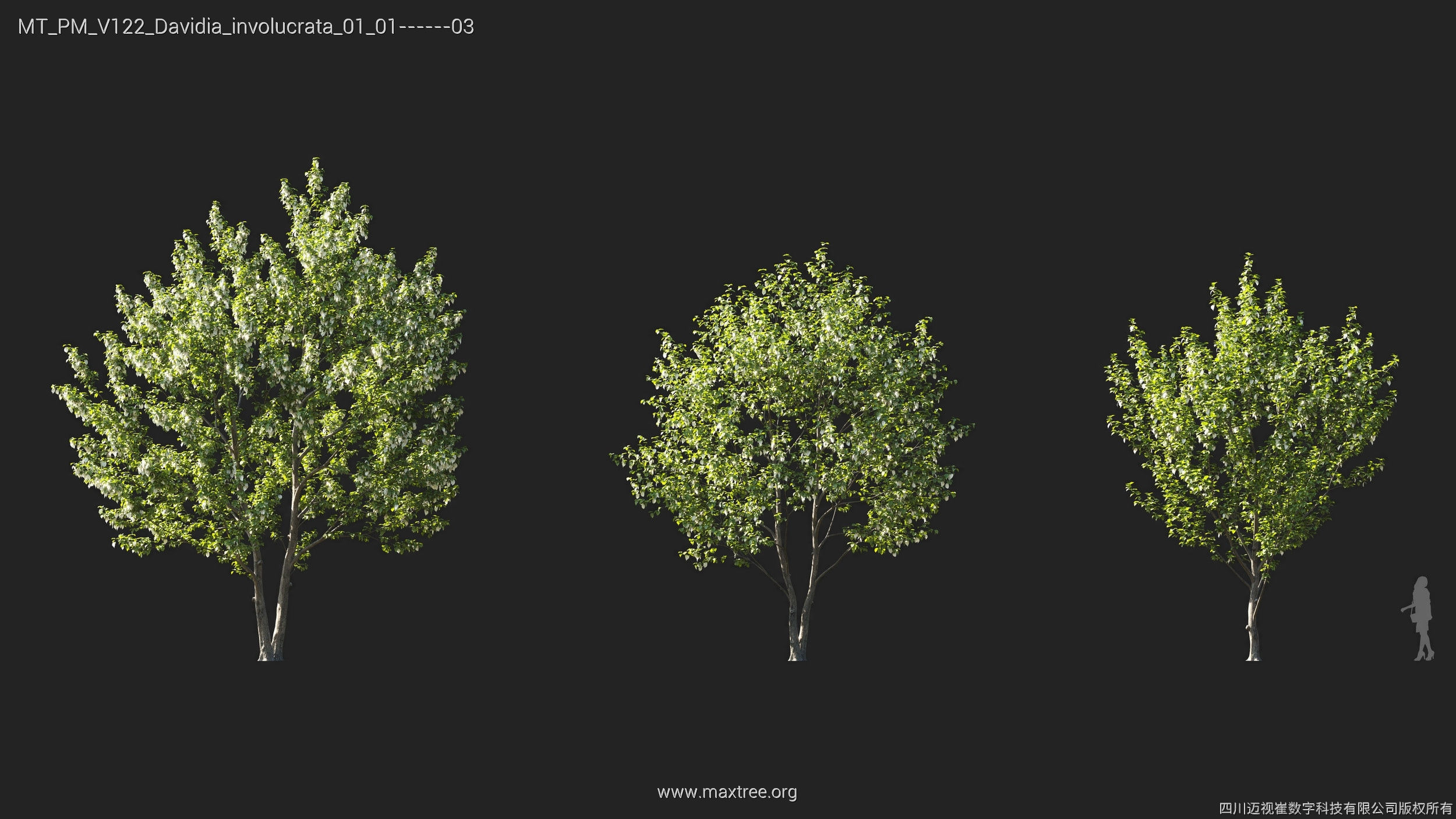 Maxtree Plant Models Vol 122 - Mesh 3D model_10