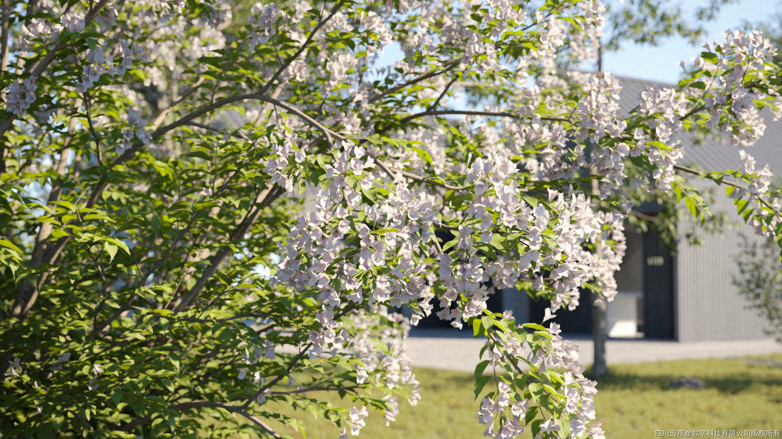 Maxtree Plant Models Vol 122 - Mesh 3D model_4