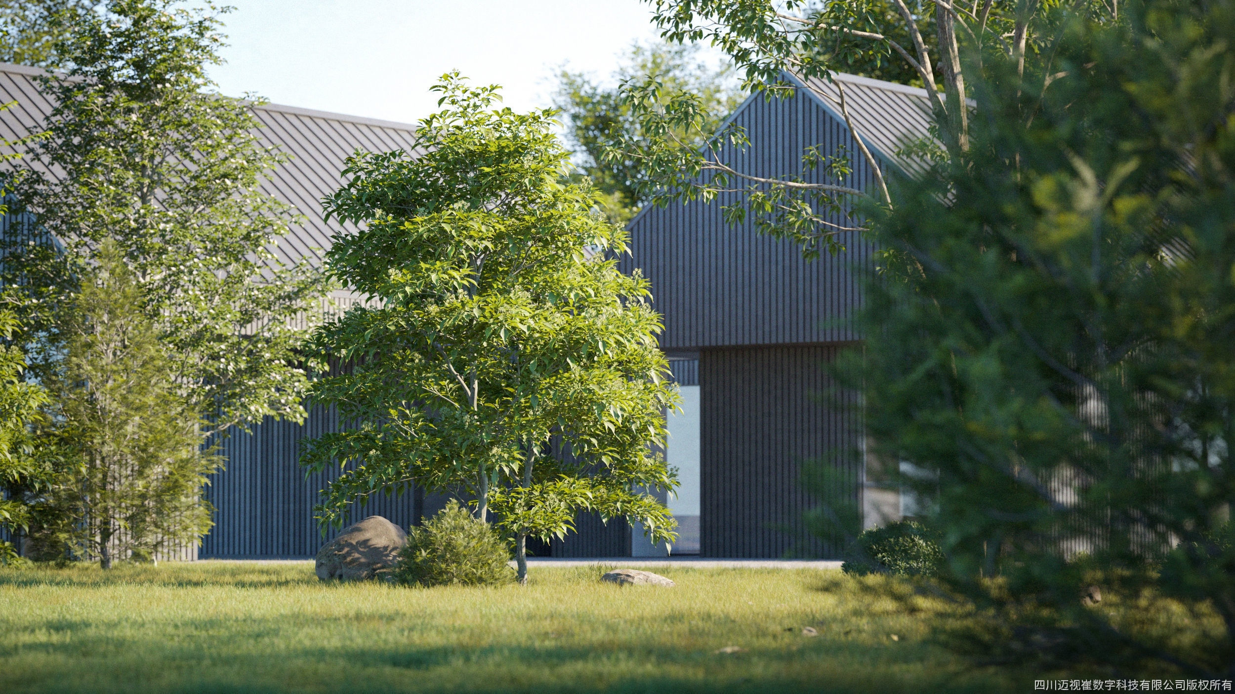 Maxtree Plant Models Vol 122 - Mesh 3D model_2