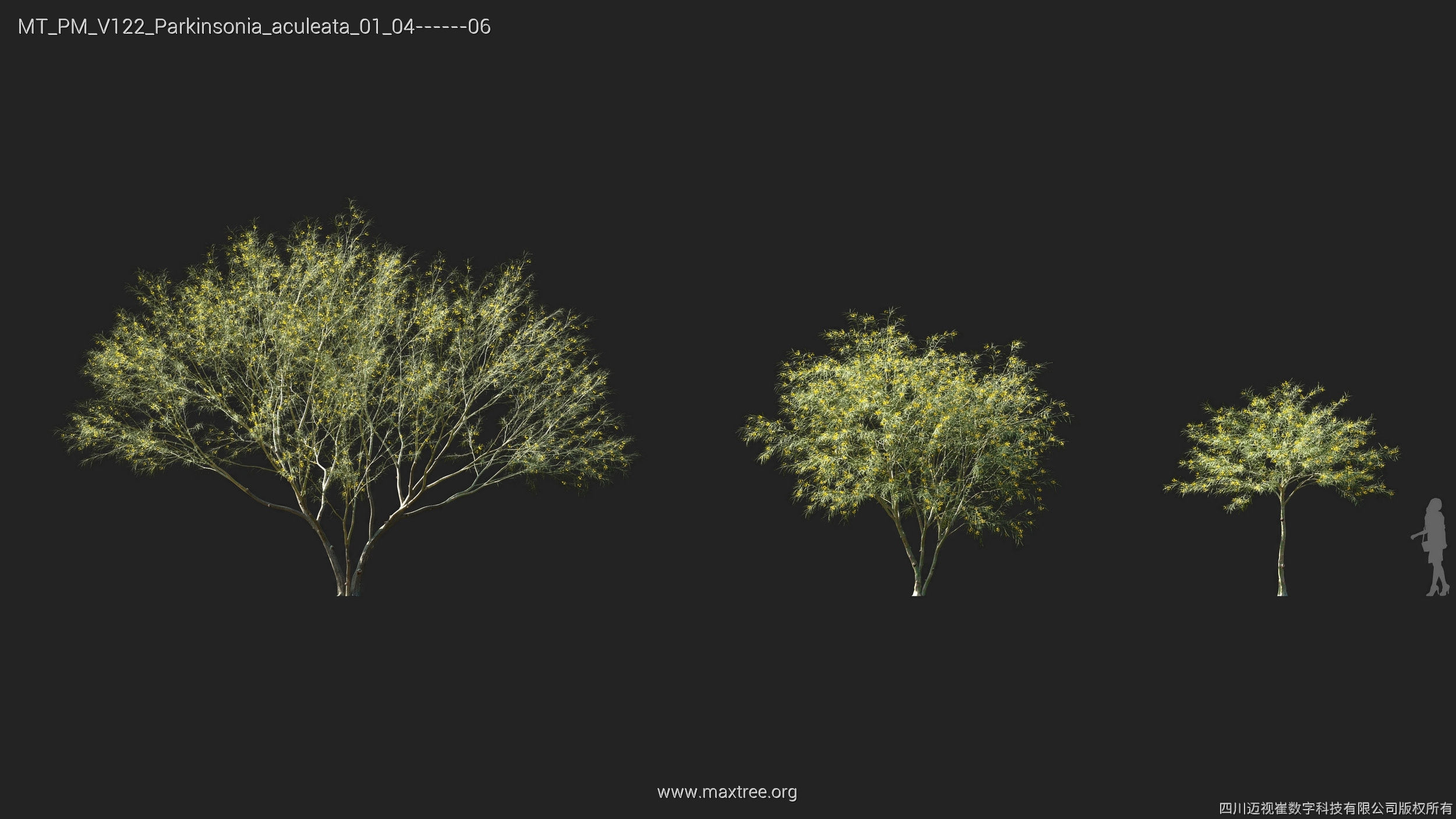 Maxtree Plant Models Vol 122 - Mesh 3D model_21