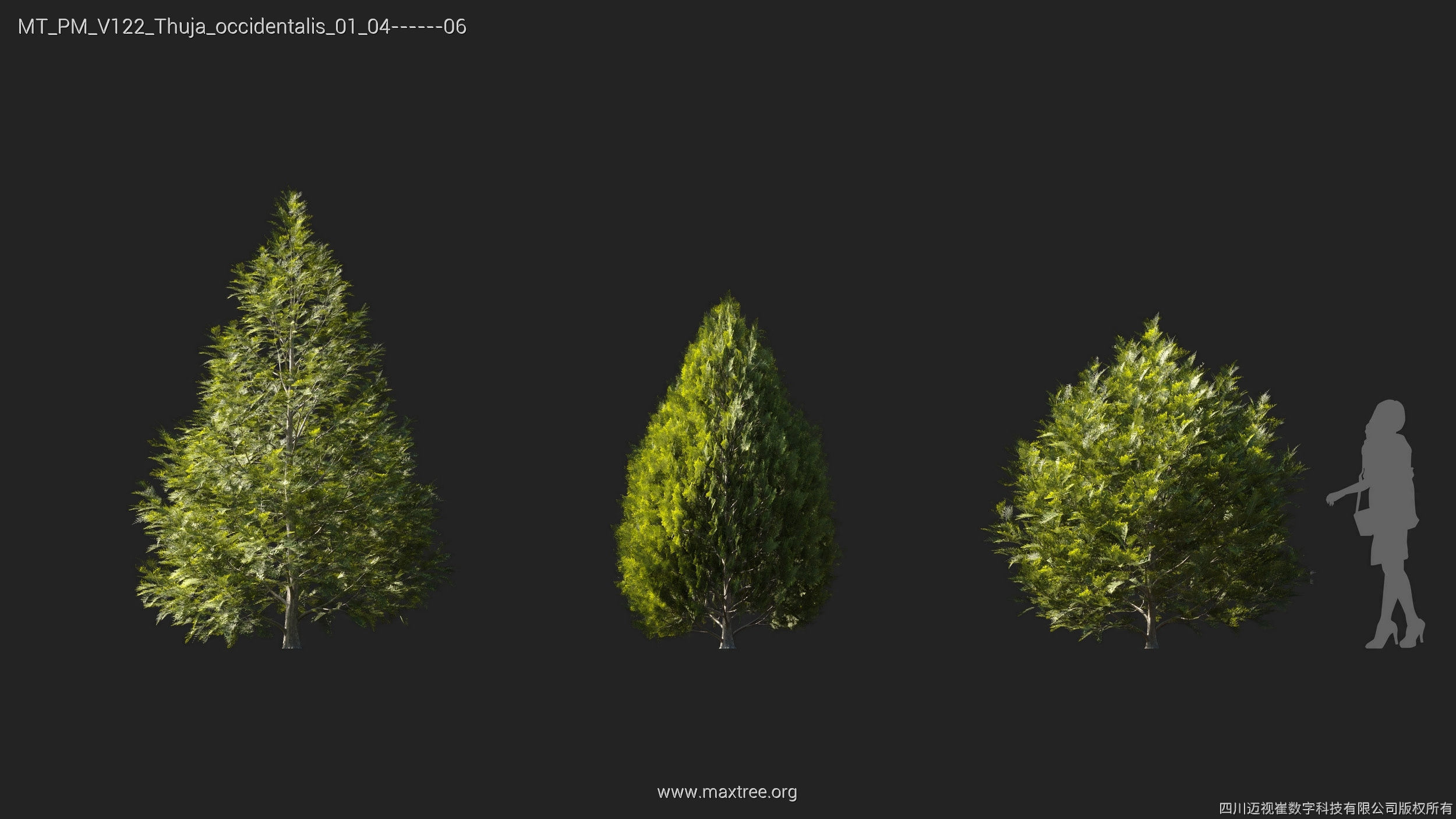Maxtree Plant Models Vol 122 - Mesh 3D model_27