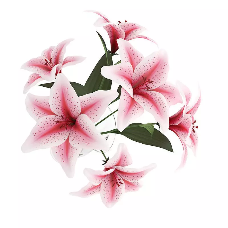 Pink Lilies in Vase 3D model