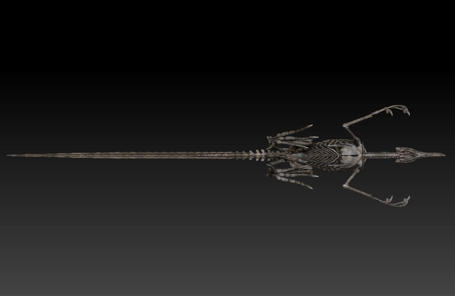 Velociraptor Skeleton - Full 3D Raptor dinosaur bones 3D model_4