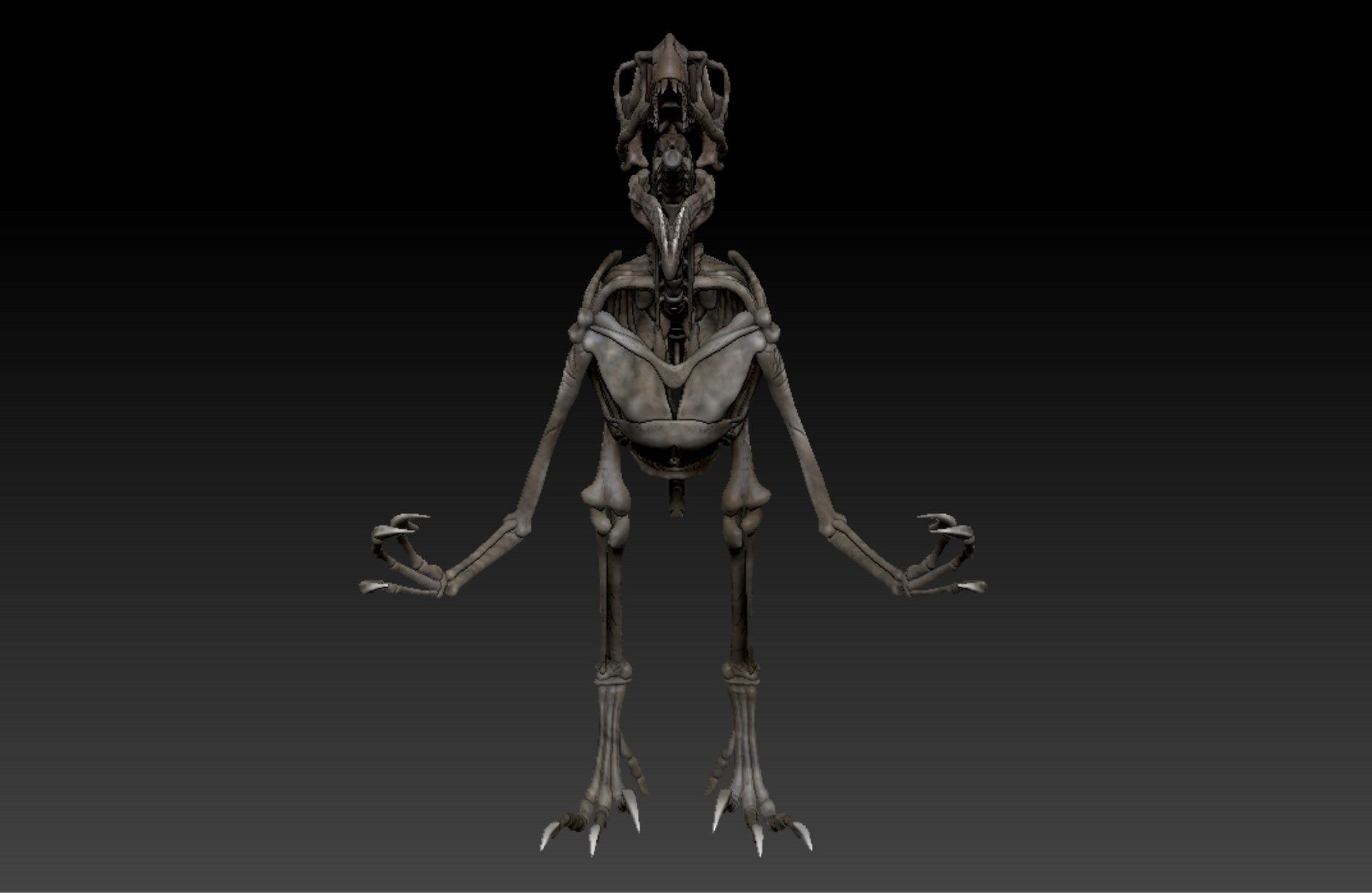 Velociraptor Skeleton - Full 3D Raptor dinosaur bones 3D model_3