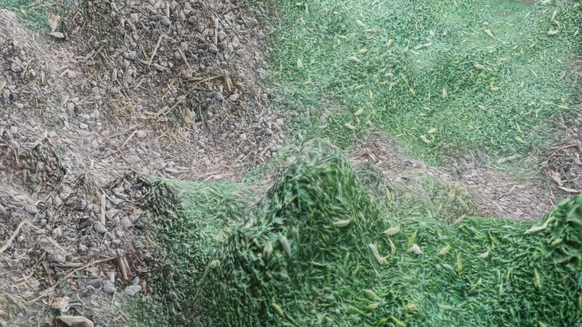 3D model Grass Rock Landscape VR / AR / low-poly | CGTrader