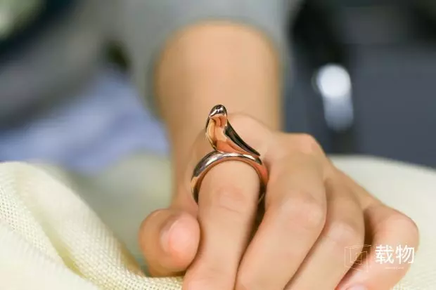 One in a million Bird ring 3D print model