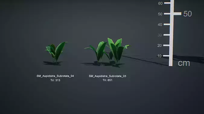 World Pack Jungle Vol 4