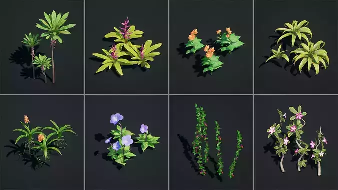 World Pack Jungle Vol 5