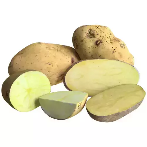 Sliced potatoes Low-poly 3D model
