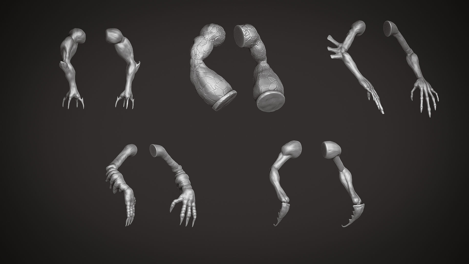 15 Stylized Arm IMM Brush 3D model_1