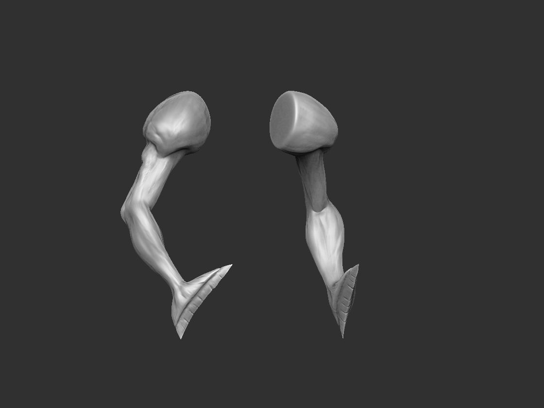 15 Stylized Arm IMM Brush 3D model_4