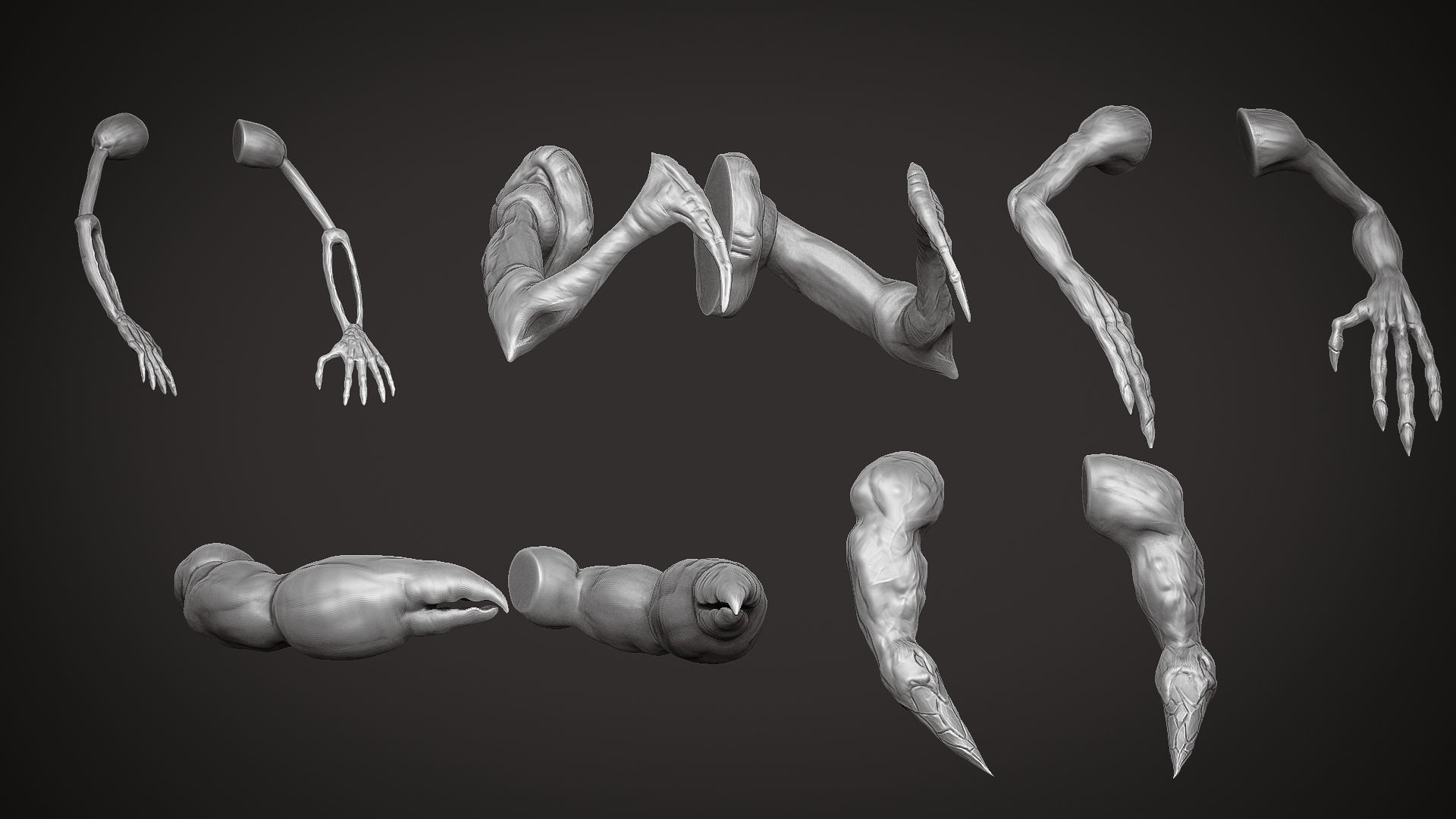 15 Stylized Arm IMM Brush 3D model_2