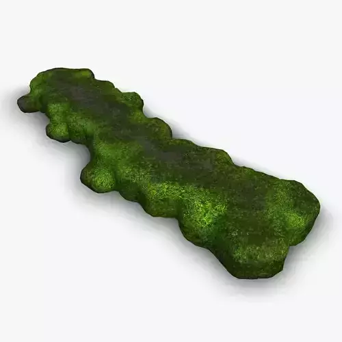 Rock Walkway 1 - Moss 2