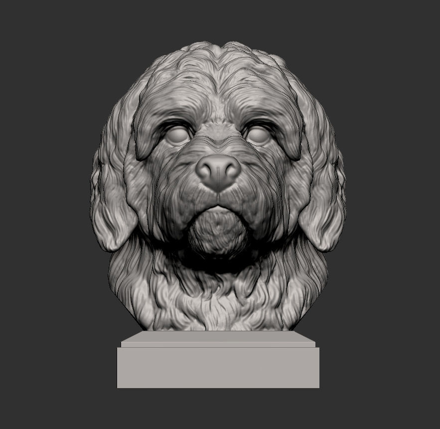GoldenDoodle bust 3D print model_5