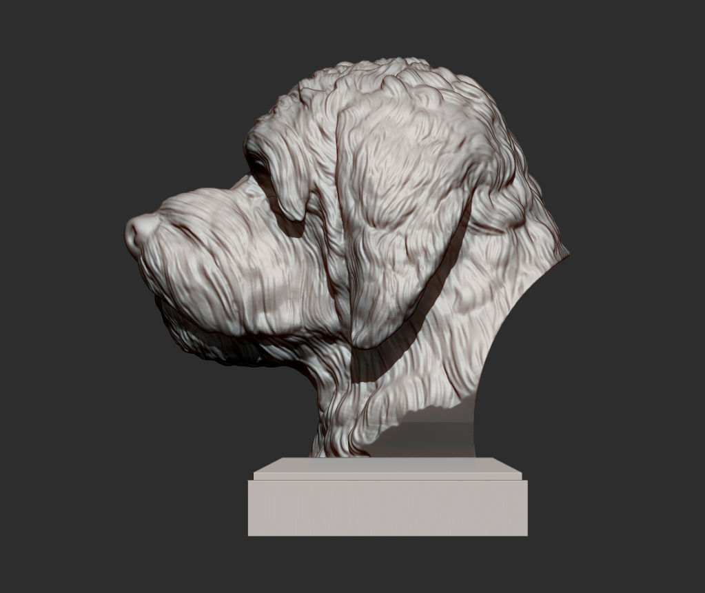 GoldenDoodle bust 3D print model_4