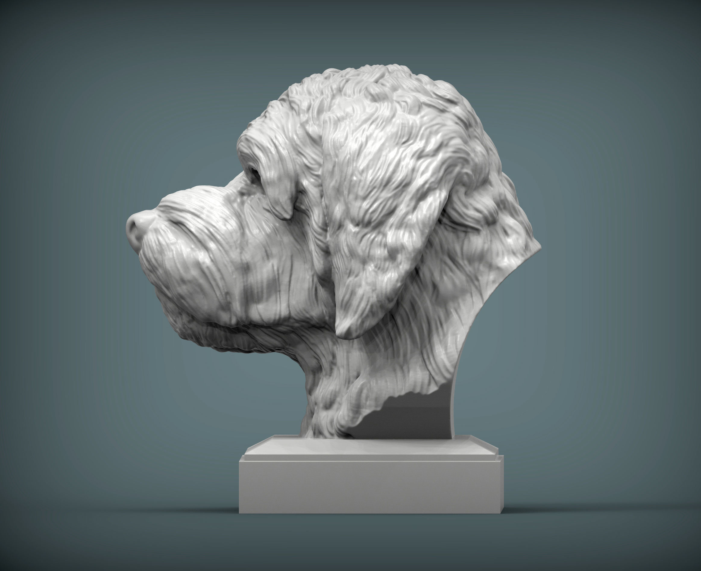 GoldenDoodle bust 3D print model_2
