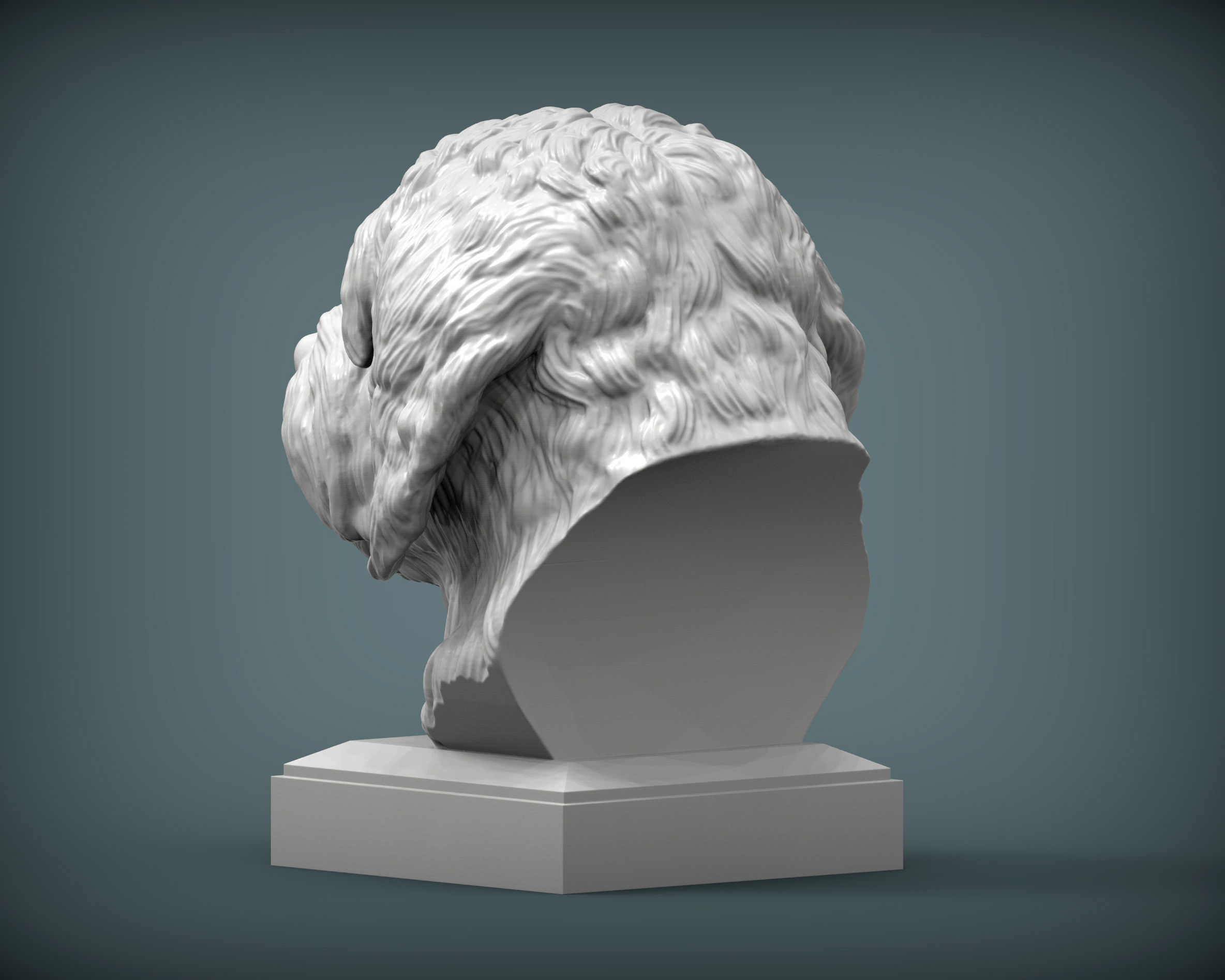 GoldenDoodle bust 3D print model_3