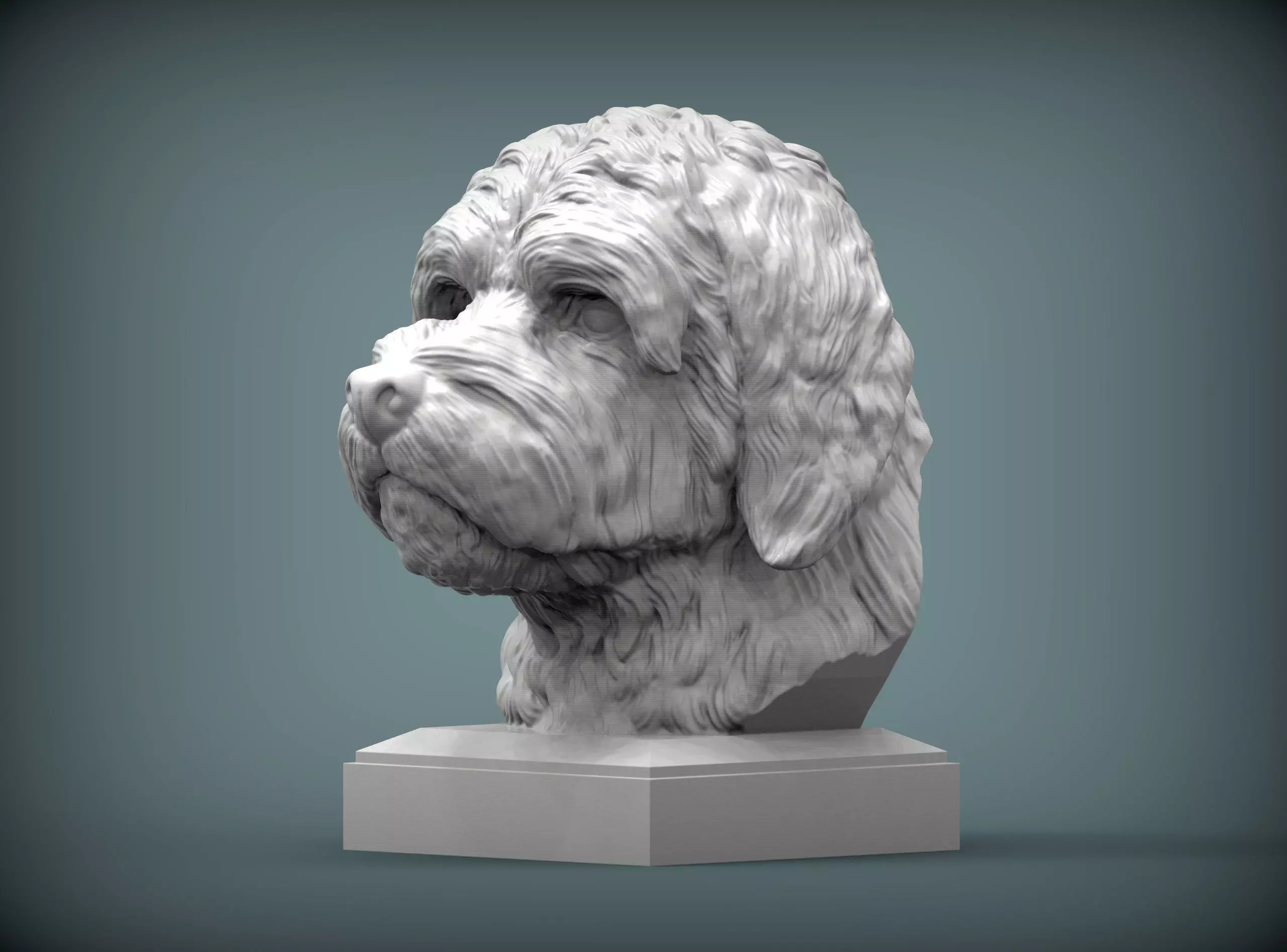 GoldenDoodle bust 3D print model_0