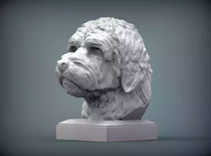 GoldenDoodle bust