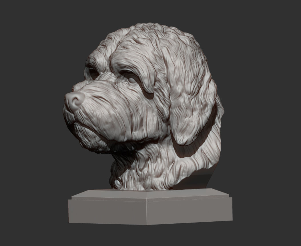 GoldenDoodle bust 3D print model_7