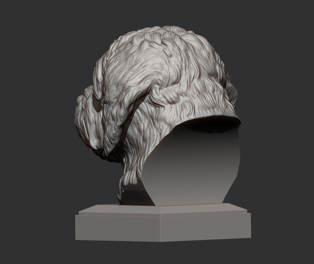 GoldenDoodle bust 3D print model_6